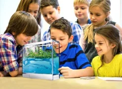 Clearance Myreakvarium med planter