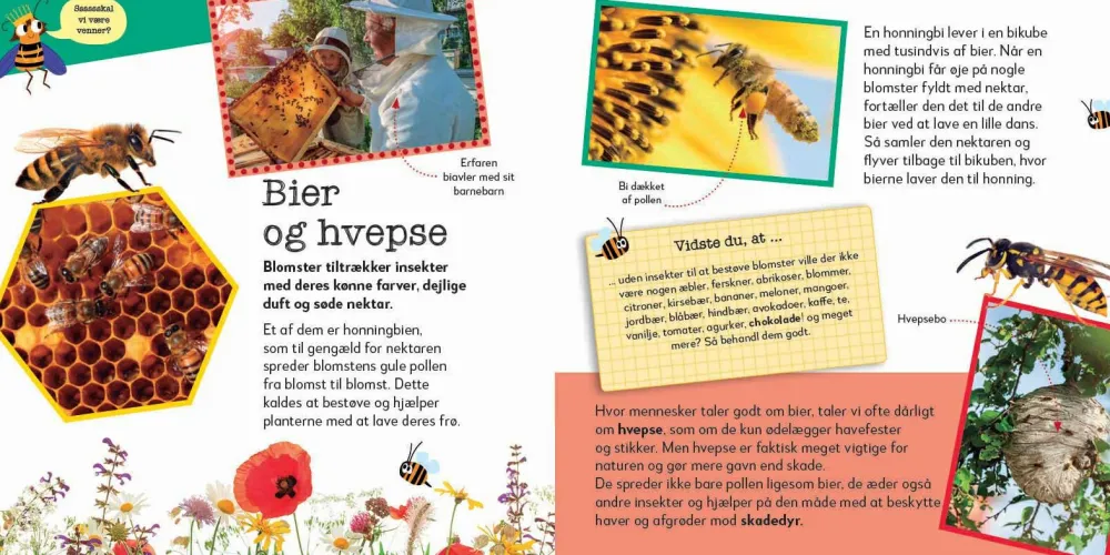 Hot Nu bliver det sjovt! Krible-krable dyr