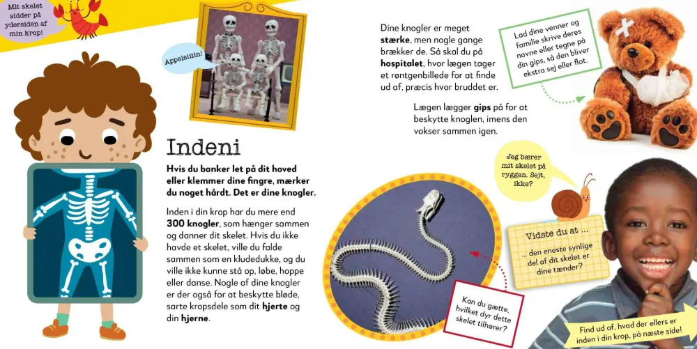 Online Nu bliver det sjovt! Kroppen