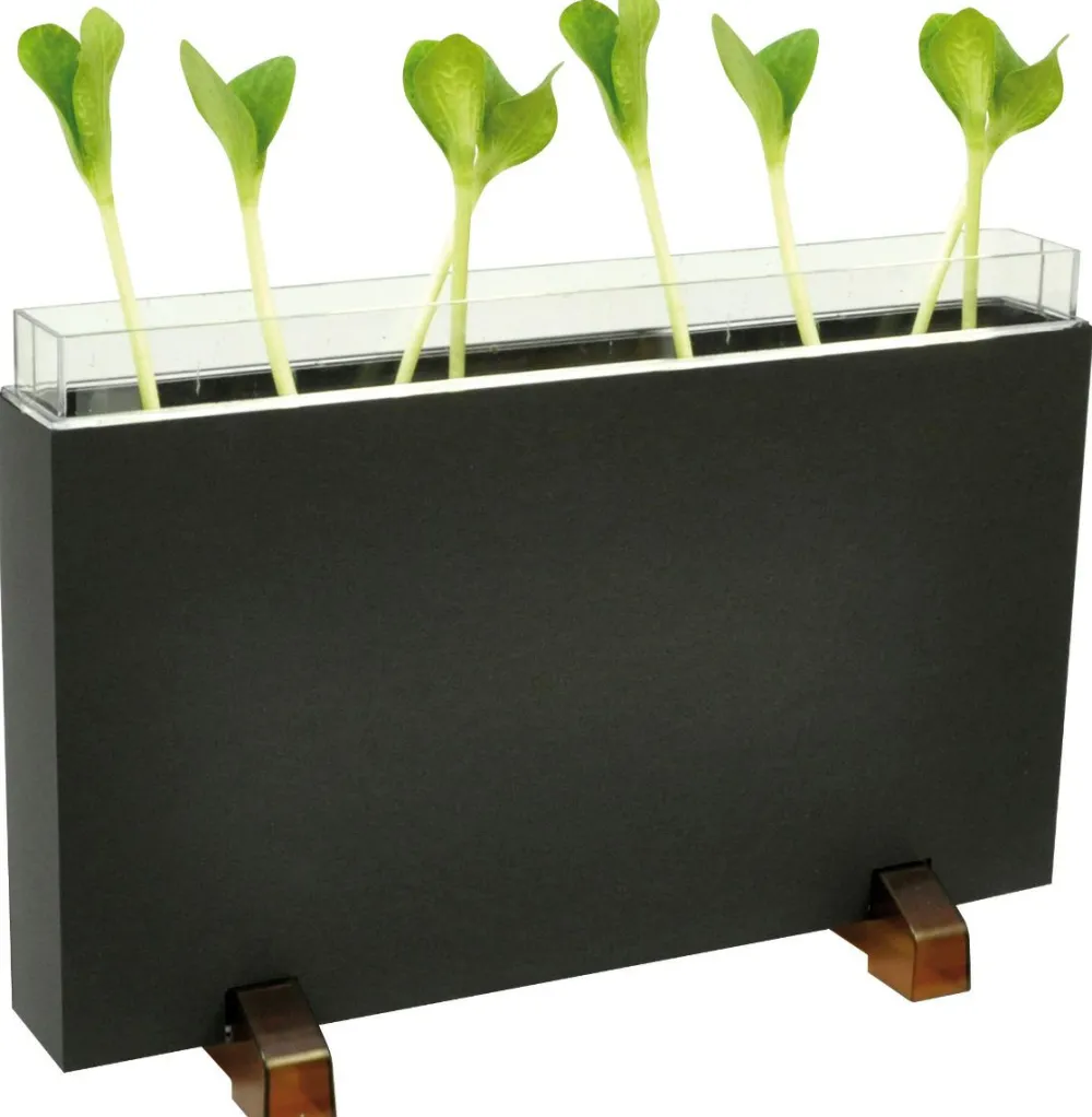 Clearance Observationskasse - Orme/Rødder