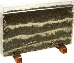 Clearance Observationskasse - Orme/Rødder