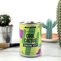 Sale Plant selv kit - Kaktus