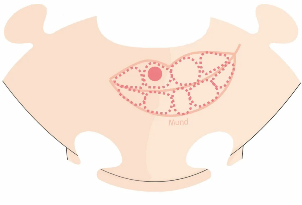 Discount PlayMais tilbehør - Anatomi puslespil