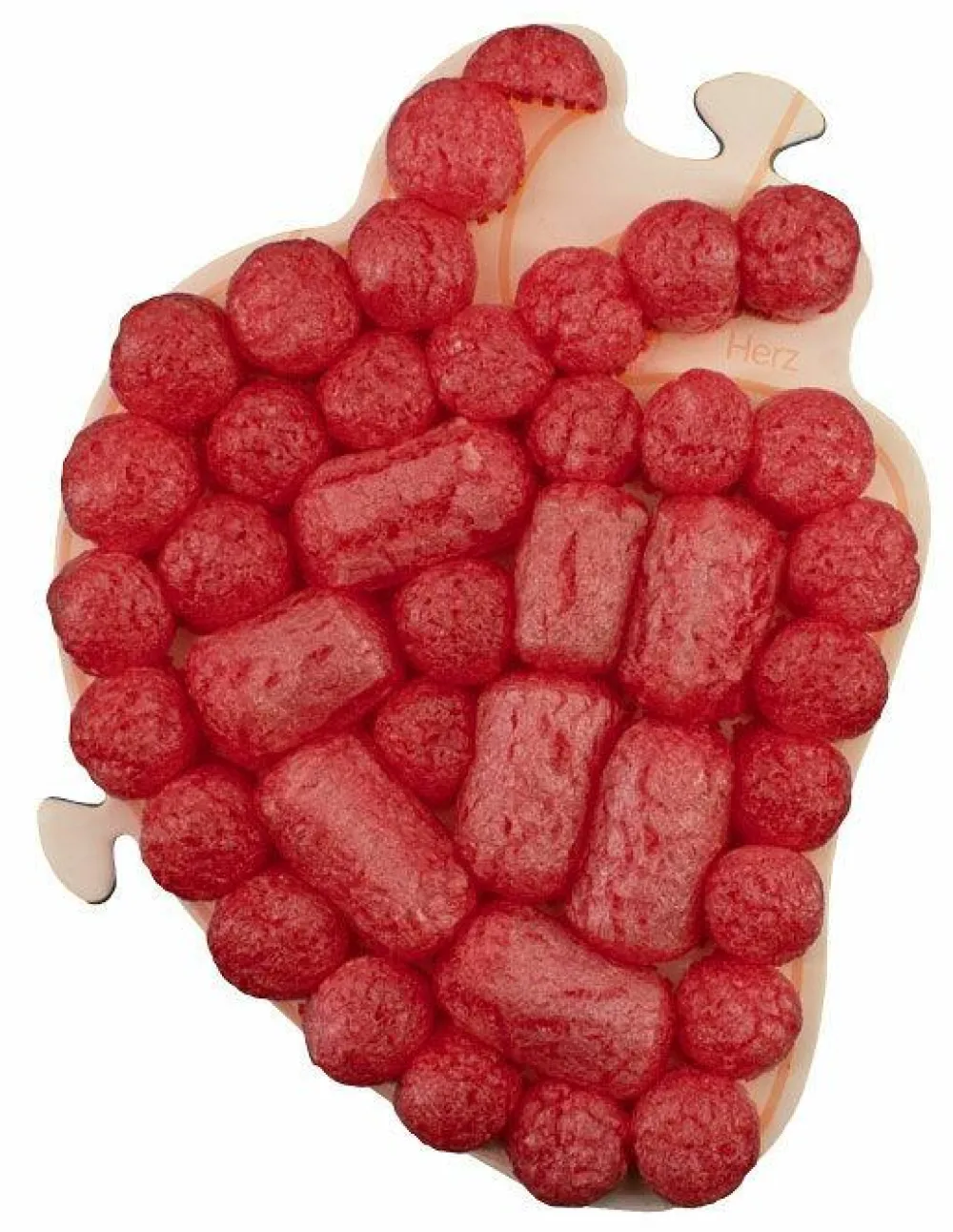 Discount PlayMais tilbehør - Anatomi puslespil