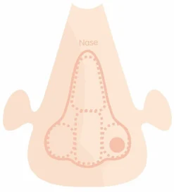 Discount PlayMais tilbehør - Anatomi puslespil