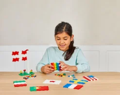 Best Plus-Plus  - Lær at bygge verdensflag, 700 stk