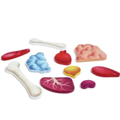 Online Hape Puslespil m. 50 brikker - Krop inkl. 3D-organer