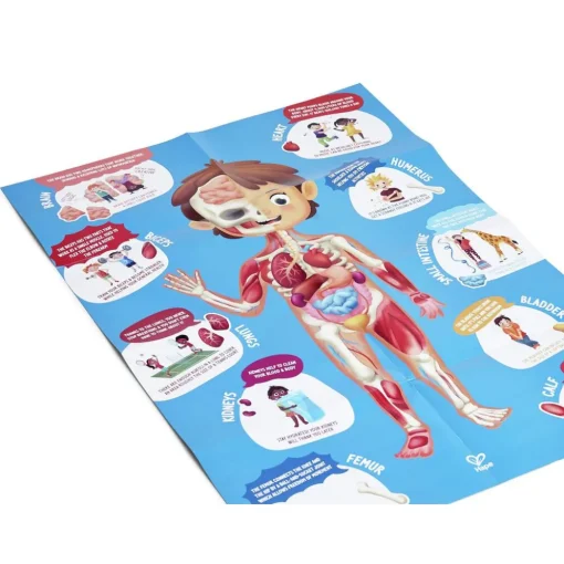 Online Hape Puslespil m. 50 brikker - Krop inkl. 3D-organer