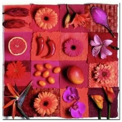 Hot educa Puslespil m. 3 x 500 brikker - Frugt & blomster