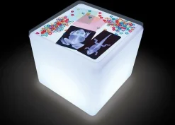 Outlet Røntgenbilleder - Dyr, 14 stk