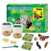 Online InsectLore Sommerfuglehave læringssæt m. 10 larver