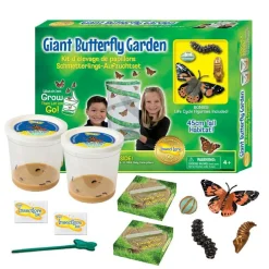 Online InsectLore Sommerfuglehave læringssæt m. 10 larver