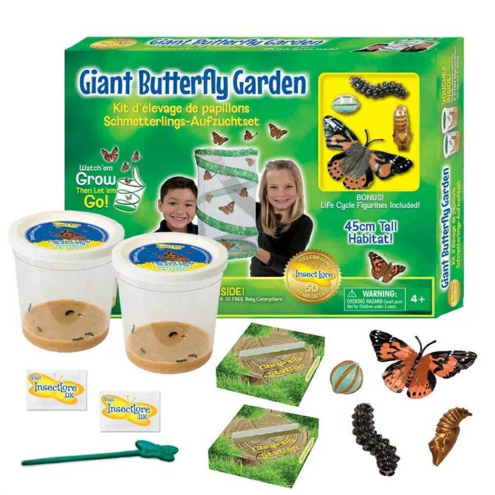 Online InsectLore Sommerfuglehave læringssæt m. 10 larver