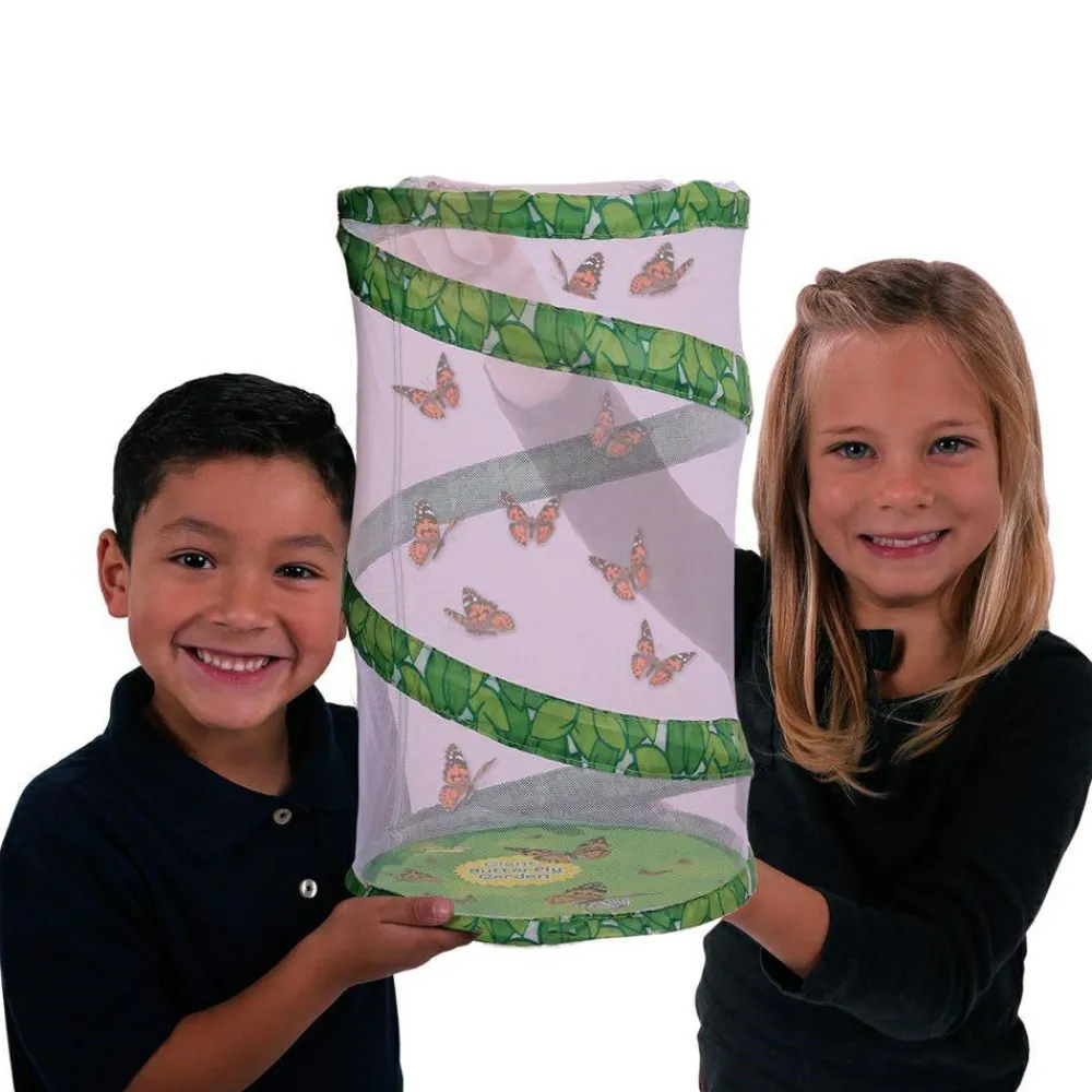 Online InsectLore Sommerfuglehave læringssæt m. 10 larver