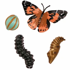 Online InsectLore Sommerfuglehave læringssæt m. 10 larver