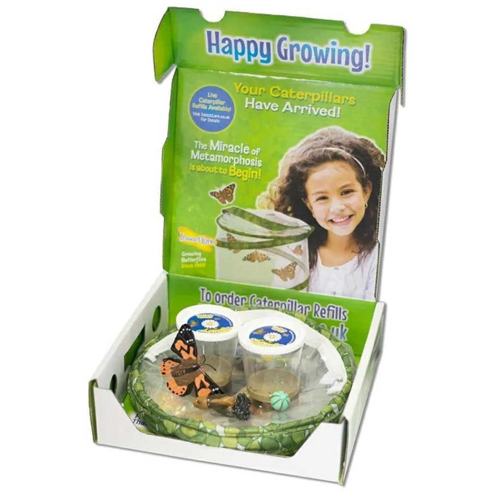 Online InsectLore Sommerfuglehave læringssæt m. 10 larver