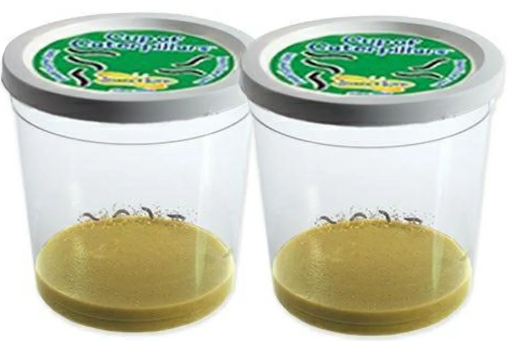 Online InsectLore Sommerfuglehave læringssæt m. 10 larver