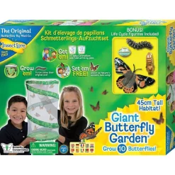 Online InsectLore Sommerfuglehave læringssæt m. 10 larver