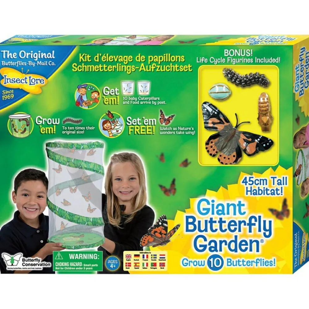Online InsectLore Sommerfuglehave læringssæt m. 10 larver