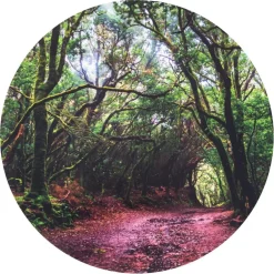 Online tickit® Sæt scenen Ø62,5 cm - I skoven