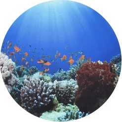 Sale tickit® Sæt scenen Ø62,5 cm - Under havet