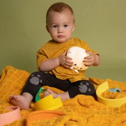 Stableregnbue, stor - Gul & orange