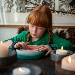 New TIMIO tilbehør - Disc m. julesange