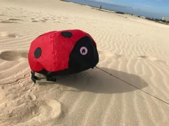 Online Vindmagi - Hoppende mariehøne (40 x 40 cm.)