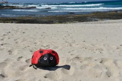 Online Vindmagi - Hoppende mariehøne (40 x 40 cm.)