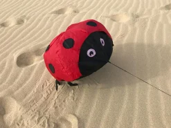 Online Vindmagi - Hoppende mariehøne (40 x 40 cm.)